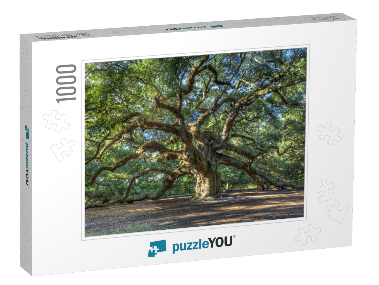 The Magical Angel Oak Tree in Charleston South Carolina... Jigsaw Puzzle with 1000 pieces