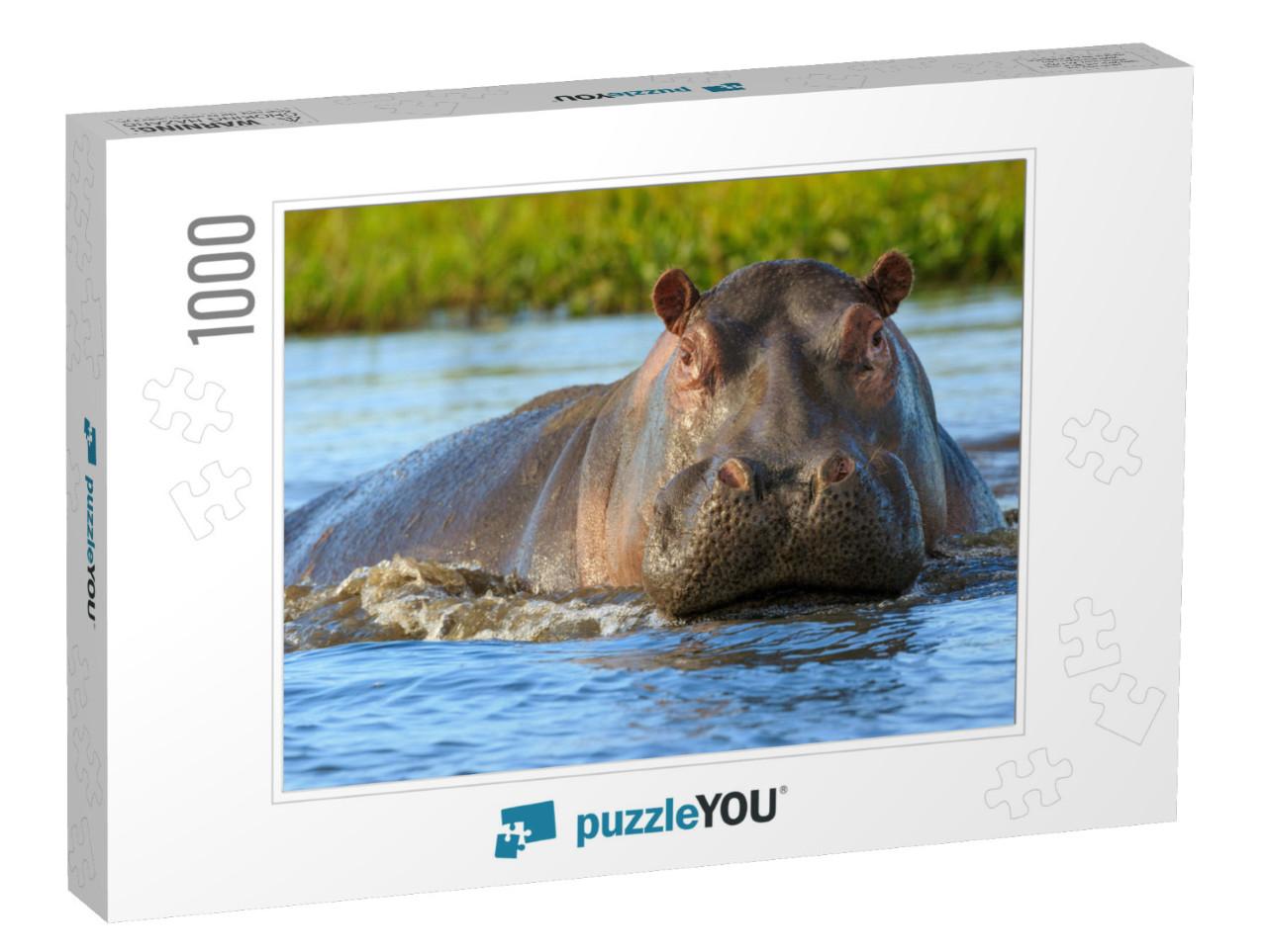 Hippopotamus Hippos in Liwonde N. P. - Malawi... Jigsaw Puzzle with 1000 pieces