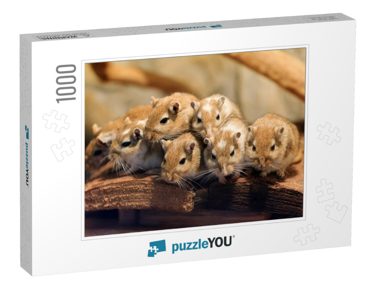 Beautiful Close Up a Cute Family of Mongolian Gerbil or M... Jigsaw Puzzle with 1000 pieces