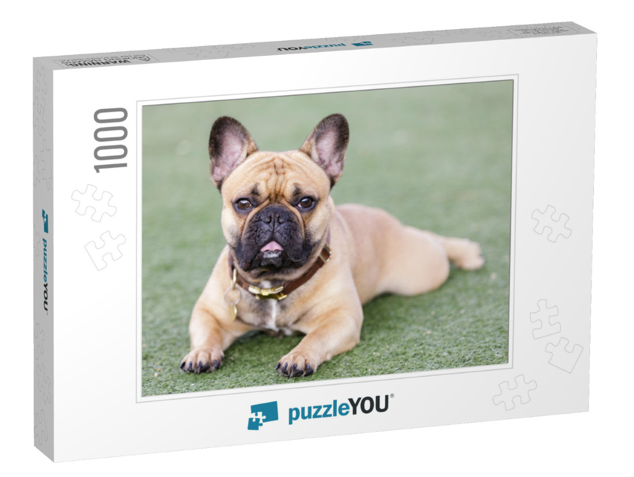 Fawn Puppy French Bulldog Lying Down with Open Mouth & Lo... Jigsaw Puzzle with 1000 pieces