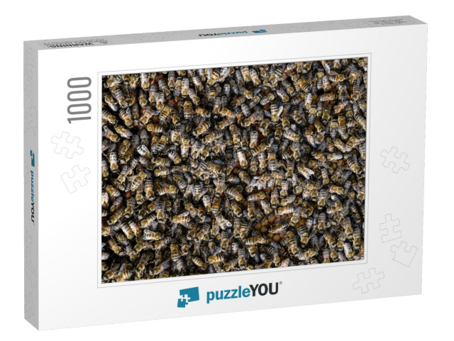 A Dense Cluster of Swarms of Bees in the Nest. Working Be... Jigsaw Puzzle with 1000 pieces