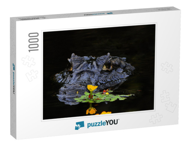 Caimans Are Crocodiles... Jigsaw Puzzle with 1000 pieces