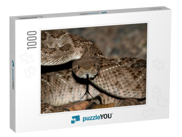 Mojave Rattlesnake Crotalus Scutulatus Coiled to Strike... Jigsaw Puzzle with 1000 pieces