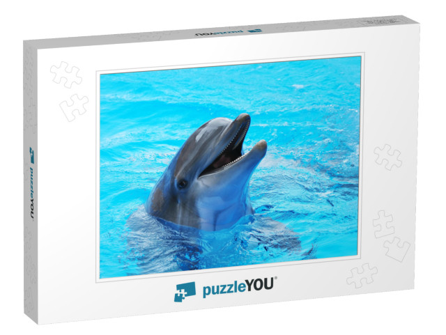 Dolphins Swim in the Pool... Jigsaw Puzzle