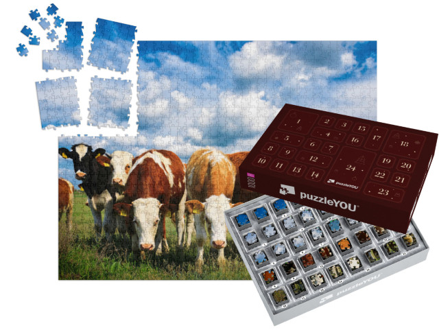 Cows on a Green Summer Meadow... | Jigsaw Puzzle Advent Calendar