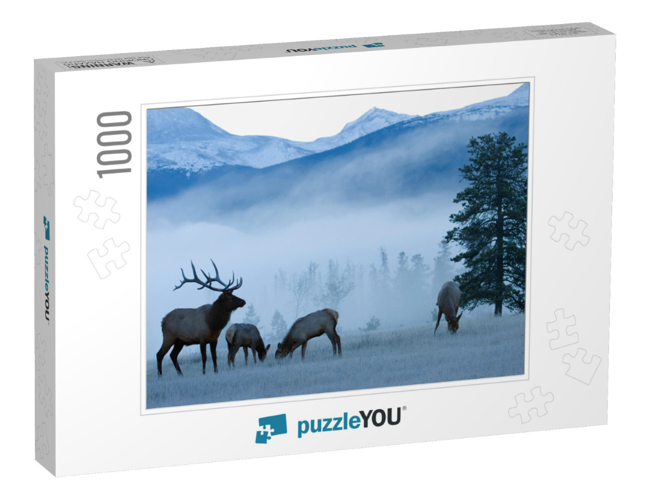 Rocky Mountain Bull Elk & Cows, Frosty Morning... Jigsaw Puzzle with 1000 pieces