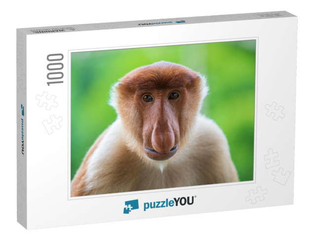 Wild Proboscis Monkey or Nasalis Larvatus, in the Rainfor... Jigsaw Puzzle with 1000 pieces