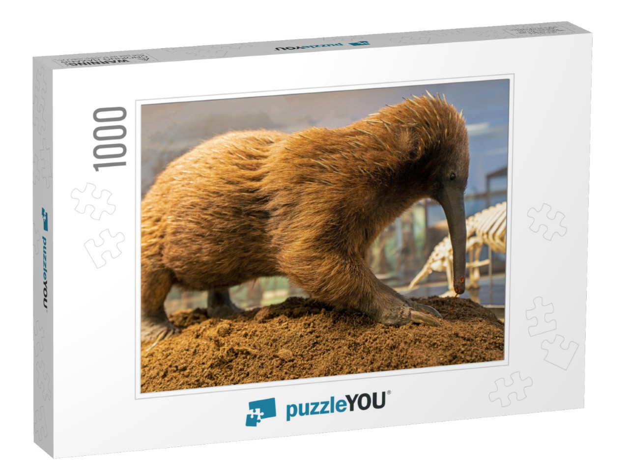 Australian Long Beaked Echidna, Spiny Anteater... Jigsaw Puzzle with 1000 pieces