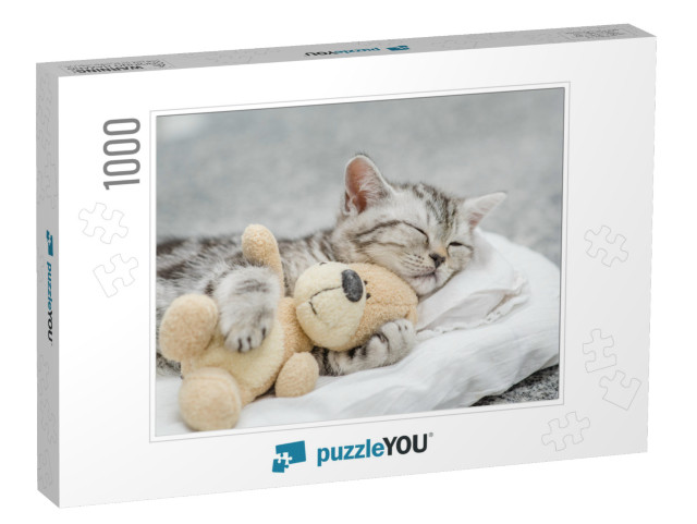 Cute Kitten Sleeping with Toy Bear... Jigsaw Puzzle with 1000 pieces