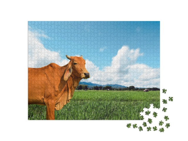 Brown Cow in the Green Pastures on a Sunny Spring Day wit... Jigsaw Puzzle with 1000 pieces