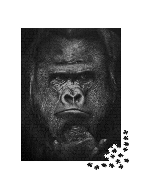 Heavy Gaze of Strong Dominant Male Gorilla, Face Close Up... Jigsaw Puzzle with 1000 pieces