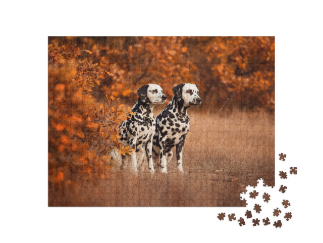 Two Dalmatian Dogs on a Walk... Jigsaw Puzzle with 1000 pieces