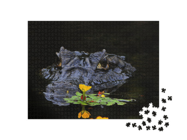 Caimans Are Crocodiles... Jigsaw Puzzle with 1000 pieces