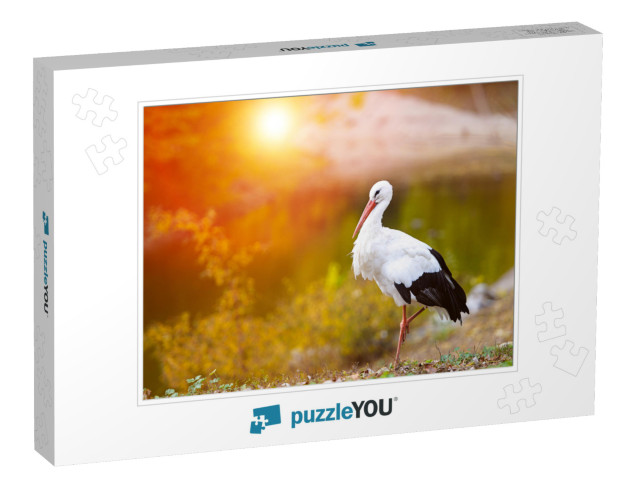 Beautiful White Stork... Jigsaw Puzzle