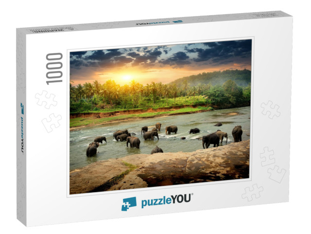 Herd of Elephants Bathing in the Jungle River of Sri Lank... Jigsaw Puzzle with 1000 pieces