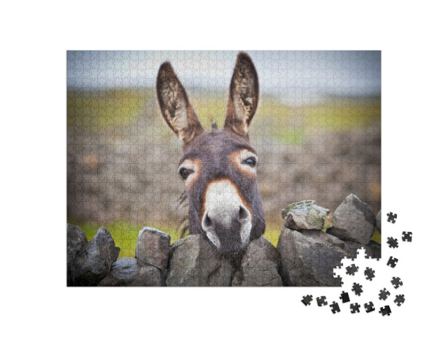 A Nice Donkey Under the Rain. Aran Islands, Ireland... Jigsaw Puzzle with 1000 pieces