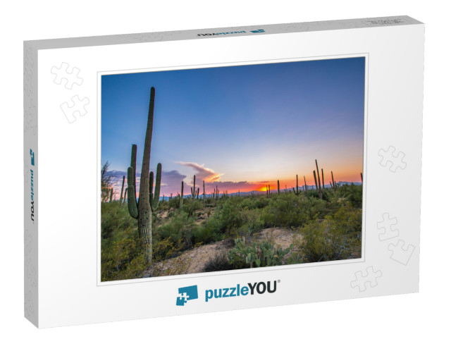 Tucson, Arizona... Jigsaw Puzzle