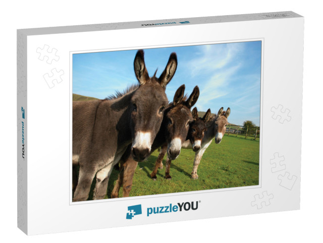 Group of Donkeys in Field Looking to Camera... Jigsaw Puzzle