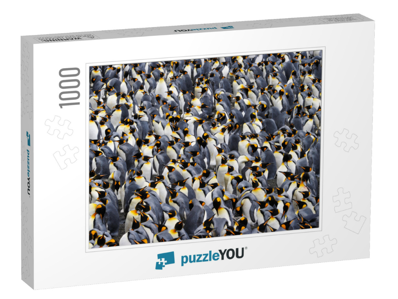 King Penguin Colony... Jigsaw Puzzle with 1000 pieces