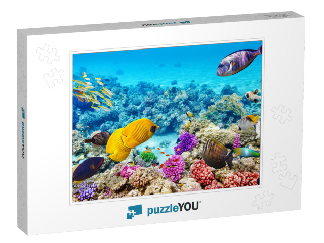 Wonderful & Beautiful Underwater World with Corals & Trop... Jigsaw Puzzle