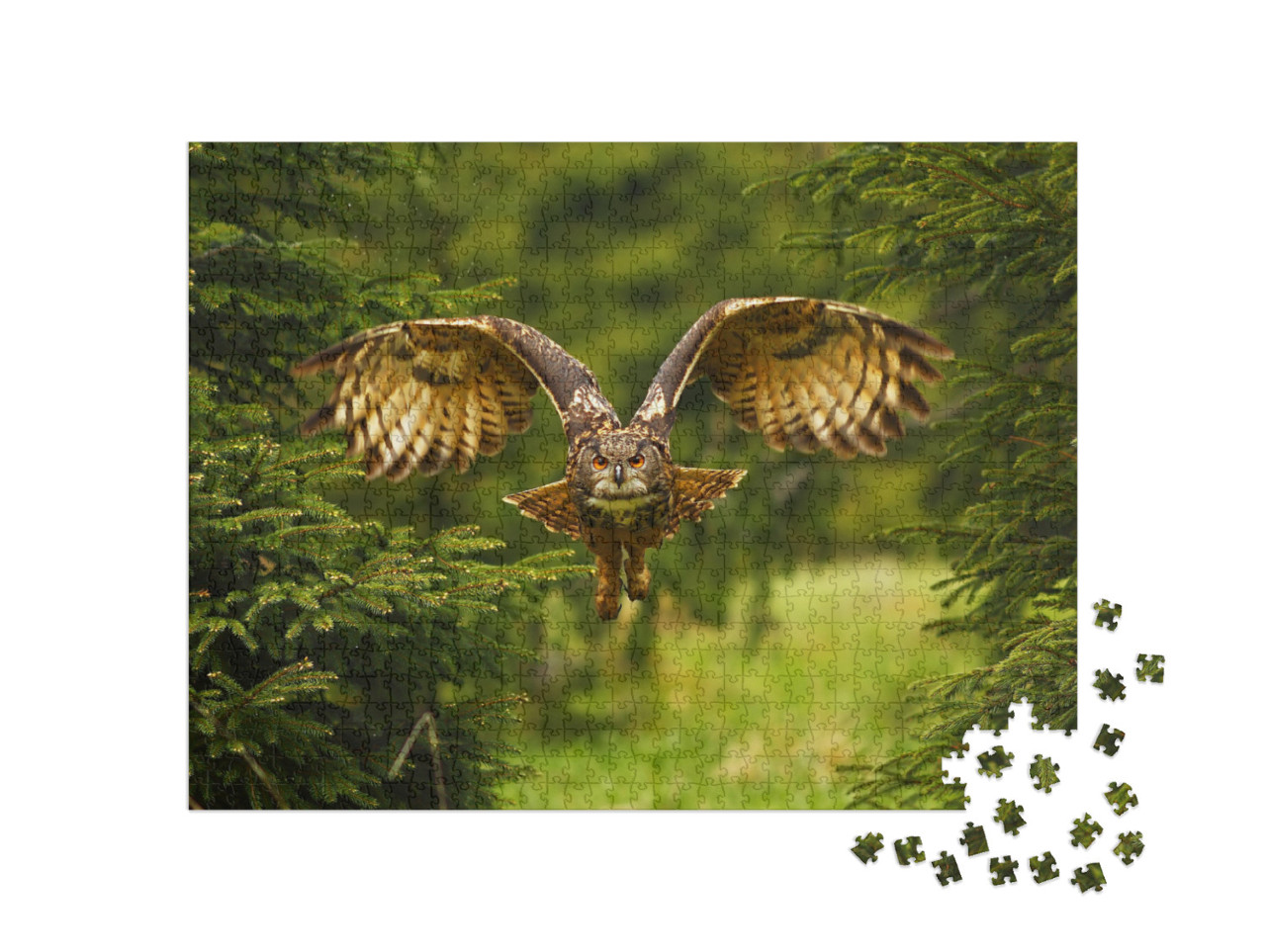 The Eurasian Eagle-Owl Flying in the Forest in the Mounta... Jigsaw Puzzle with 1000 pieces