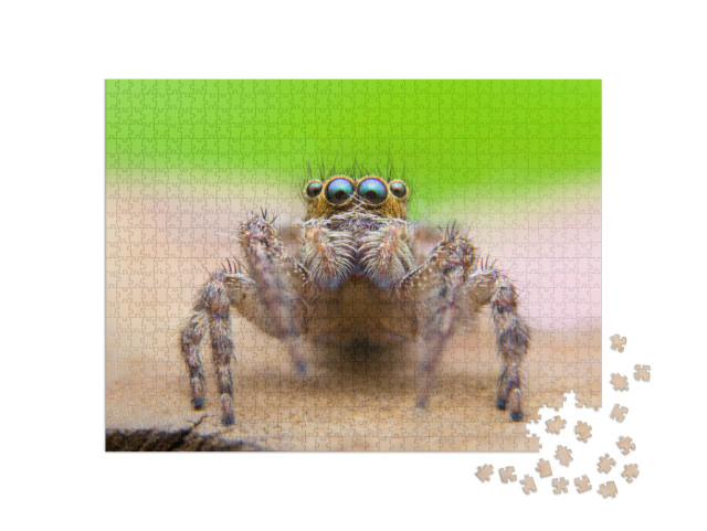 Super Macro Image of Jumping Spider Salticidae At High Ma... Jigsaw Puzzle with 1000 pieces