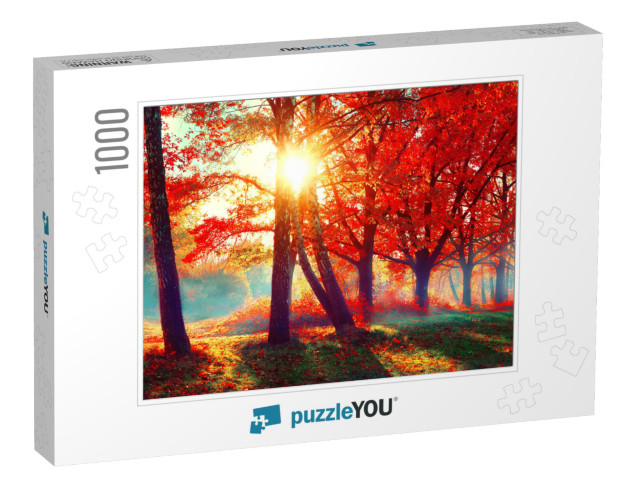 Autumn. Fall Scene. Beautiful Autumnal Park. Beauty Natur... Jigsaw Puzzle with 1000 pieces