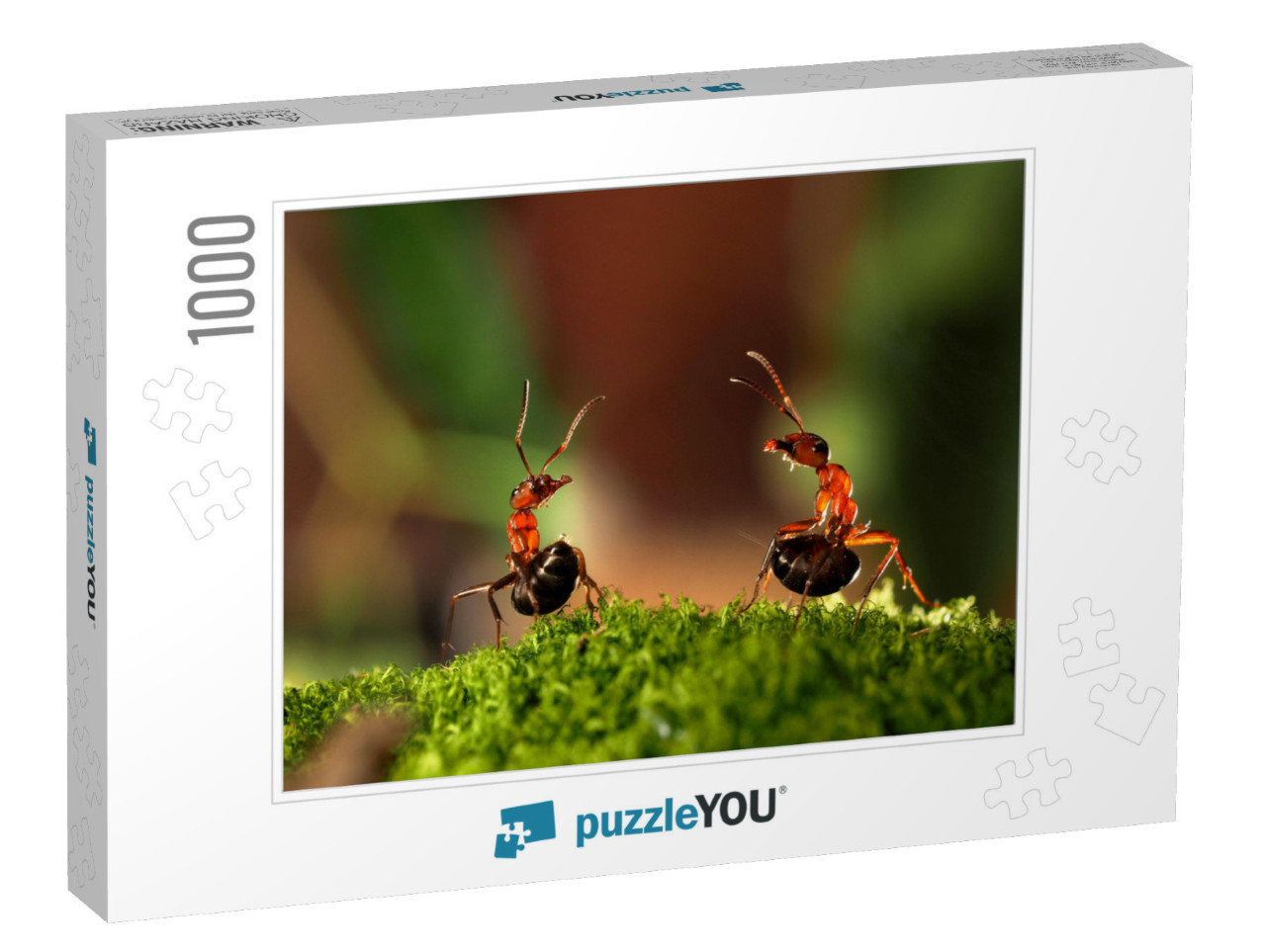 Battle of Two Ants. Beautiful Ants Are on the Moss Liftin... Jigsaw Puzzle with 1000 pieces