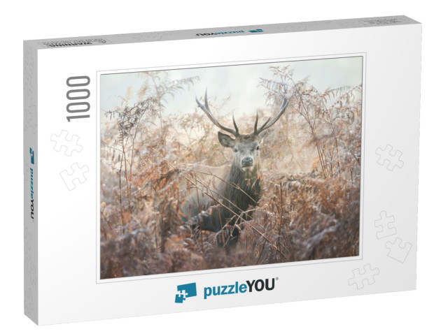 Portrait of a Red Deer Stag in Bracken on a Misty Autumn... Jigsaw Puzzle with 1000 pieces