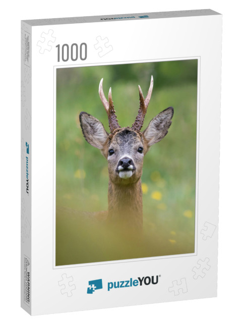 Impressive Portrait of a Wild Roe Deer with Big Antlers T... Jigsaw Puzzle with 1000 pieces