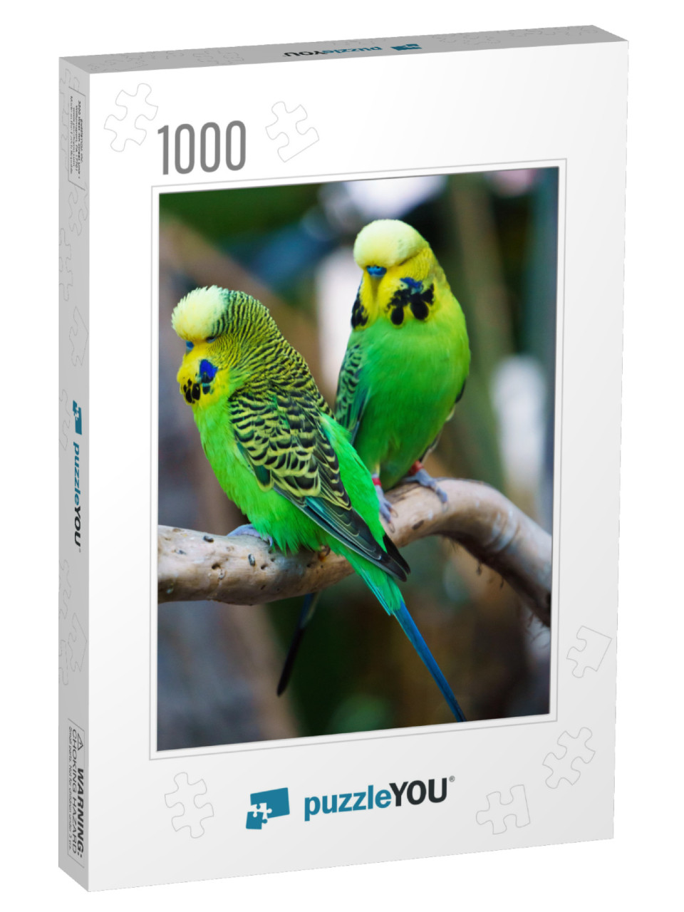 Two Budgerigars Parrot Birds Nicknamed the Budgie or the... Jigsaw Puzzle with 1000 pieces