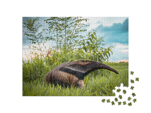 Beautiful Flag Anteater on a Bonito Farm in Brazil... Jigsaw Puzzle with 1000 pieces