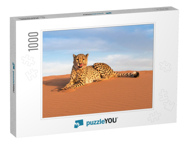 Cheetah in Kanaan N/Aan Ku Se Desert Retreat Camp... Jigsaw Puzzle with 1000 pieces