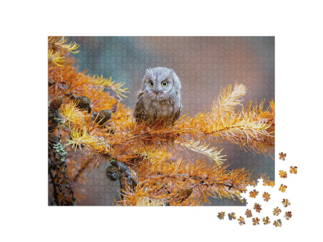 He Eurasian Scops Owl Otus Scops, Also Known as the Europ... Jigsaw Puzzle with 1000 pieces