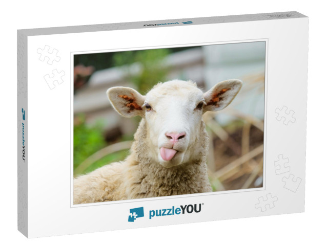 Funny Sheep. Portrait of Sheep Showing Tongue... Jigsaw Puzzle