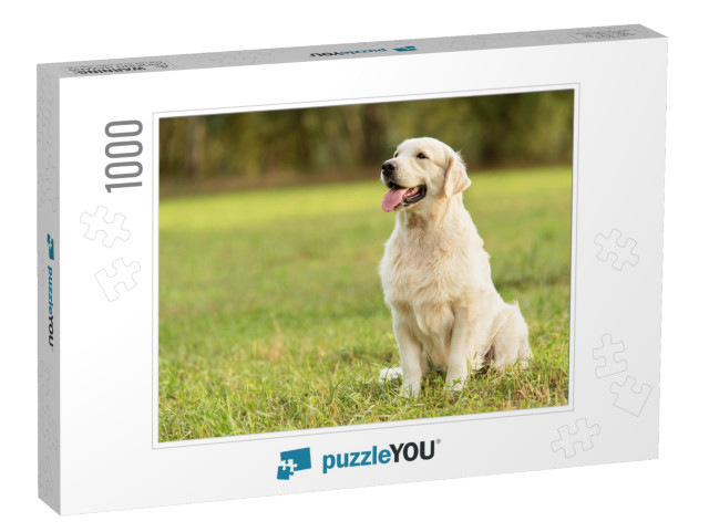 Beauty Golden Retriever Dog in the Park... Jigsaw Puzzle with 1000 pieces