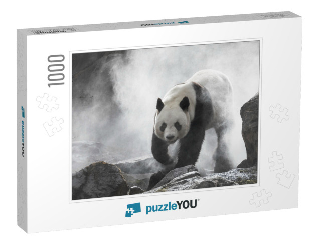 Giant Panda in the Fog... Jigsaw Puzzle with 1000 pieces