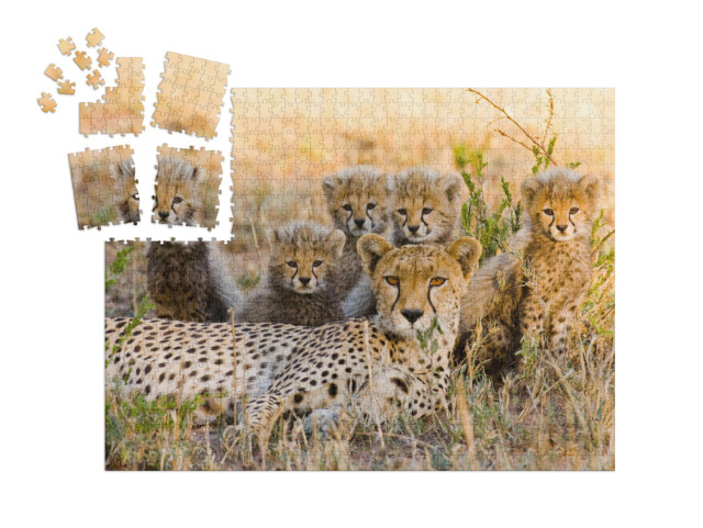 Mother Cheetah & Her Cubs in the Savannah. Kenya. Tanzani... | SMART SORTED® | Jigsaw Puzzle with 1000 pieces