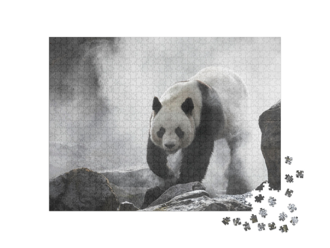 Giant Panda in the Fog... Jigsaw Puzzle with 1000 pieces