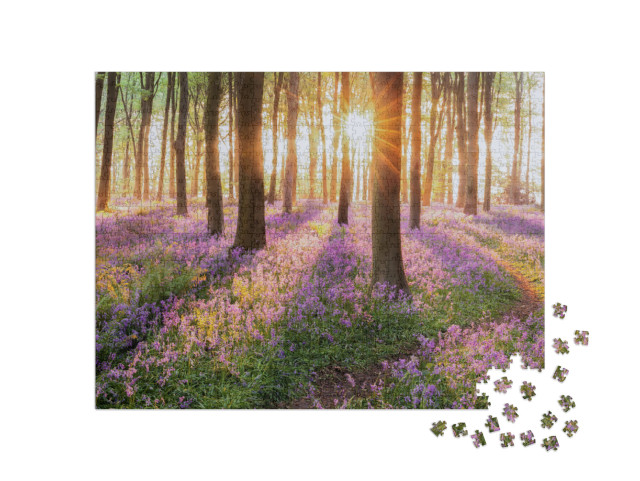 Beautiful Woodland Bluebell Forest in Spring. Purple & Pi... Jigsaw Puzzle with 1000 pieces