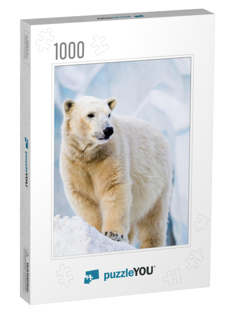 Young Polar Bear Standing on the Ice Block... Jigsaw Puzzle with 1000 pieces