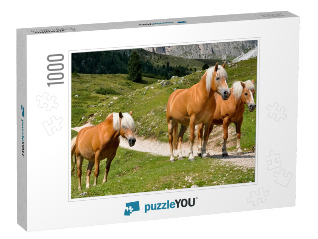 Haflinger Horses in a Group of Three with White Manes on... Jigsaw Puzzle with 1000 pieces