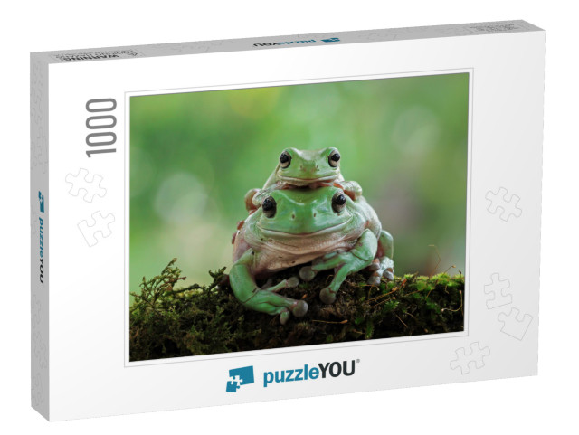 Australian White Tree Frog on Leaves, Dumpy Frog on Branc... Jigsaw Puzzle with 1000 pieces