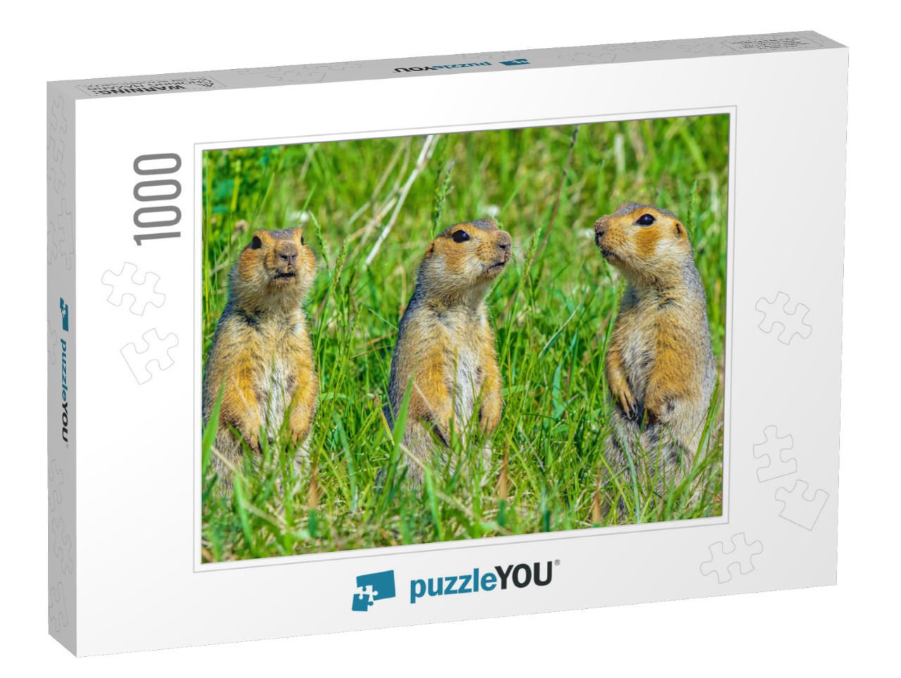 Funny Cute Loving Gophers Sitting in a Meadow on a Warm S... Jigsaw Puzzle with 1000 pieces