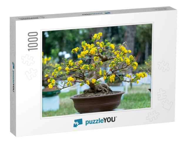 Apricot Bonsai Tree Blooming with Yellow Flowering Branch... Jigsaw Puzzle with 1000 pieces