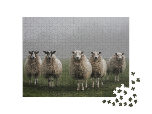 Five Sheep in a Field on a Misty Morning in Dorset... Jigsaw Puzzle with 1000 pieces