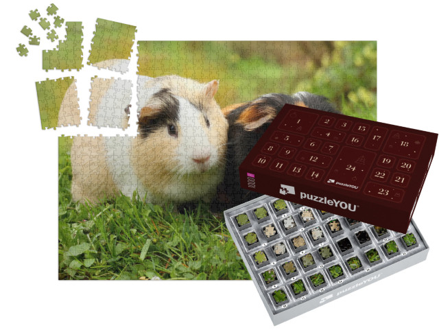 Two Cute Guinea Pigs... | Jigsaw Puzzle Advent Calendar