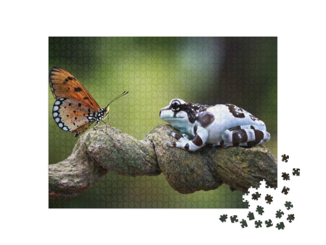 Amazon Milk Frog on Branch, Two Amazon Milk Frog, Panda T... Jigsaw Puzzle with 1000 pieces