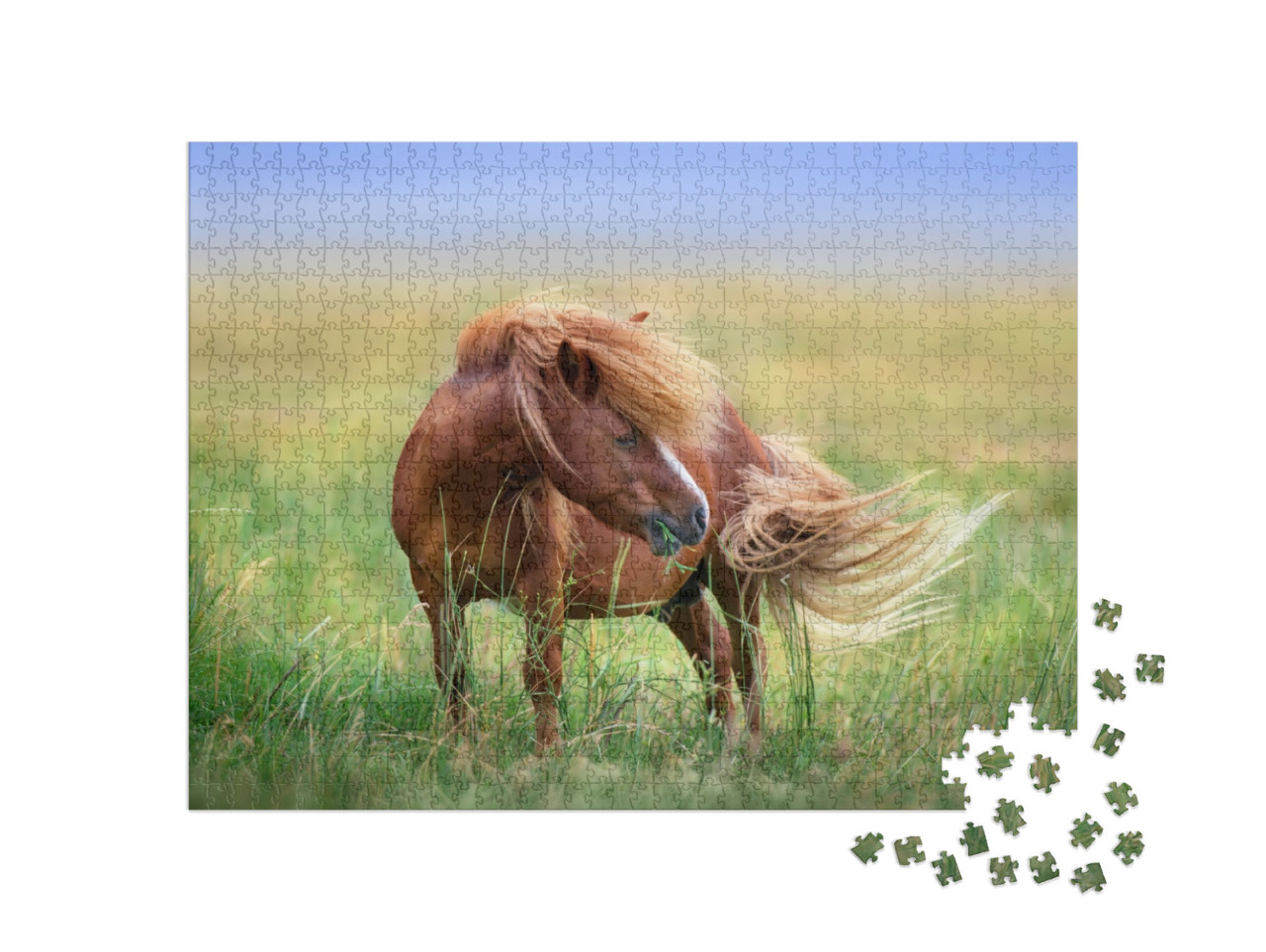 Pony with Long Mane & Tail Standing in Green Grass... Jigsaw Puzzle with 1000 pieces