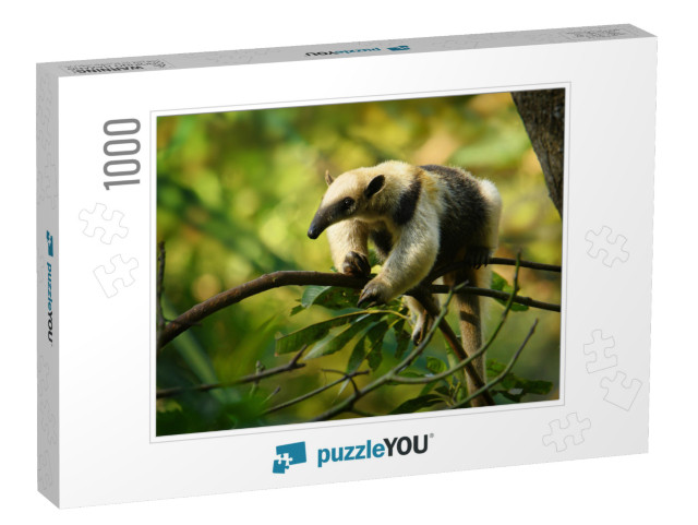 Northern Tamandua - Tamandua Mexicana Species of Anteater... Jigsaw Puzzle with 1000 pieces